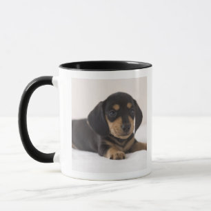 Taza Dachshund miniatura