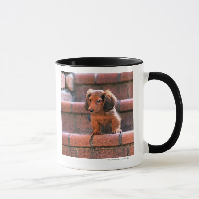 Taza Dachshund miniatura (Derecha)