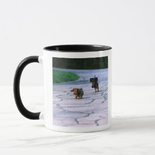Taza Dachshund miniatura 3