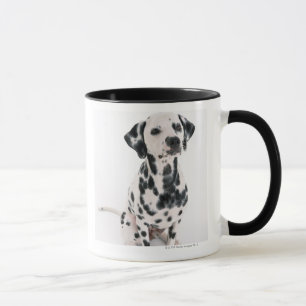 Taza Dalmatian