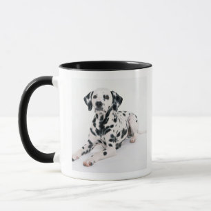 Taza Dalmatian 4