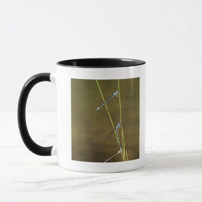 Taza Damselflies de acoplamiento (Izquierda)