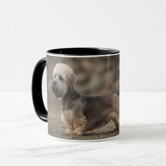 Taza Dandie Dinmont Terrier