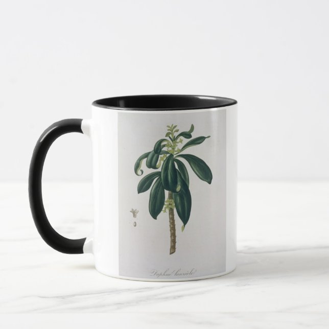 Taza Daphne Laureda de "Phytographie Medicale" por Jos (Izquierda)