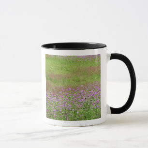 Taza Daucus carota creciendo