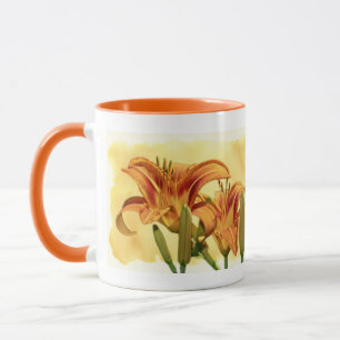 Taza Daylilies - Hemerocallis
