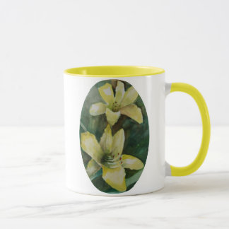 Taza daylillies 2