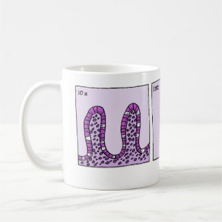 taza de 1000x Immunohistochemistry