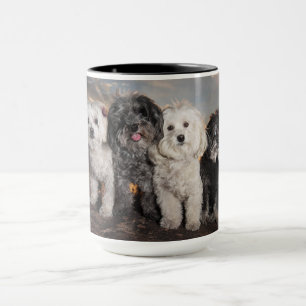 taza de 15 onzas - paquete de PBJ