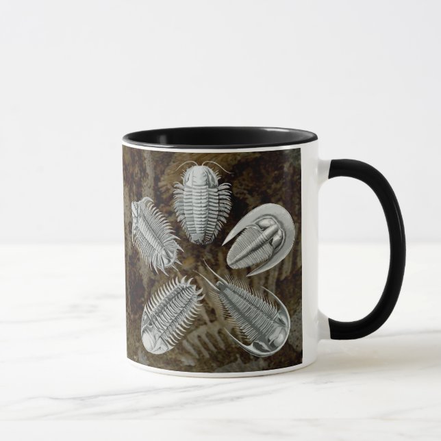 Taza de 5 Trilobites (Derecha)