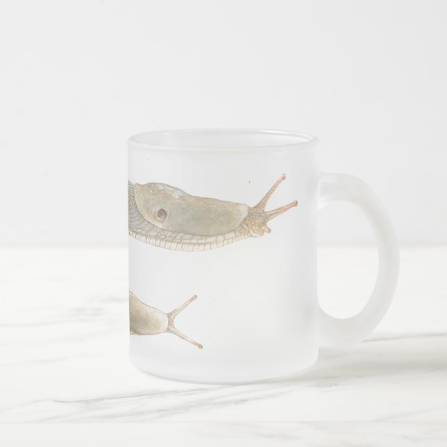 Taza de Acuarela del columbianus de Ariolimax (Derecha)