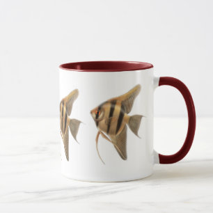 Taza de agua dulce de los Angelfishes