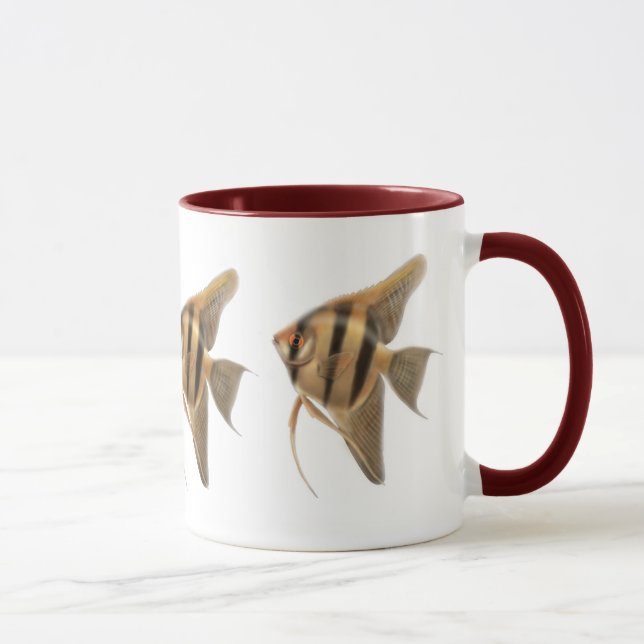 Taza de agua dulce de los Angelfishes (Derecha)