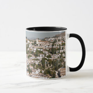 Taza de Albaycin Granada