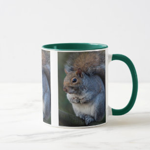 Taza de ardilla gris