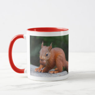 Taza de bebé de ardilla con nuez