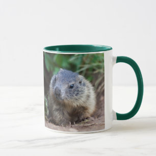 Taza de bebé marmota curiosa