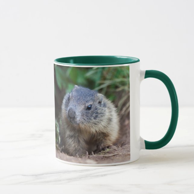 Taza de bebé marmota curiosa (Derecha)