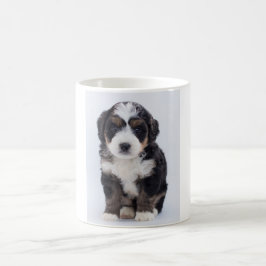 Taza de Bernedoodle