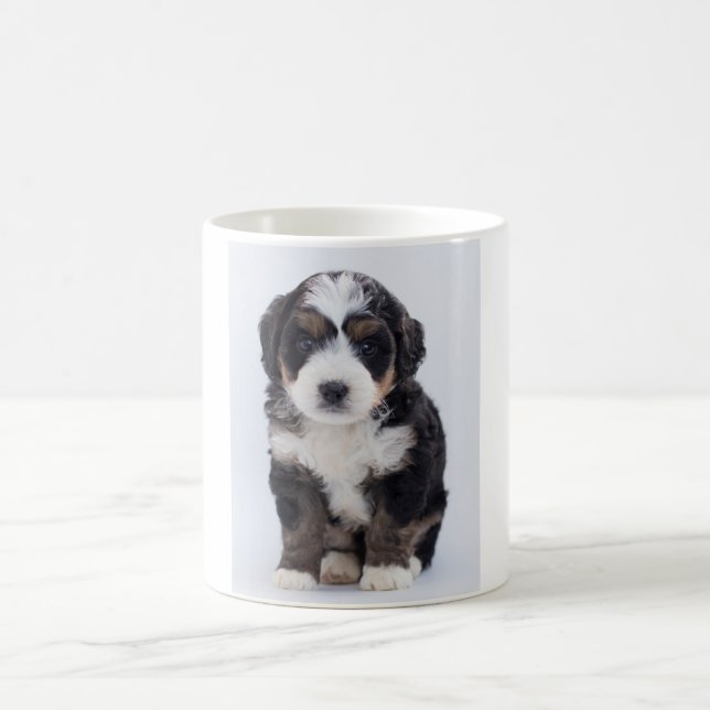 Taza de Bernedoodle (Centro)