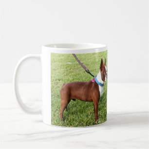 Taza de Brown Boston Terrier