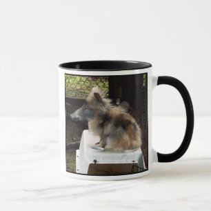 Taza de Bunnypig