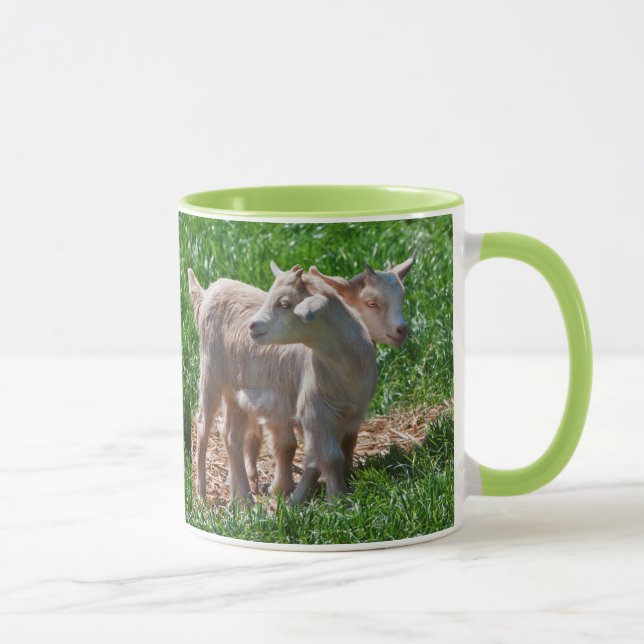 Taza de cabritos de cabra enana (Derecha)