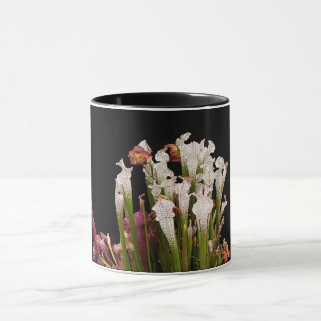 taza de café (Centro)