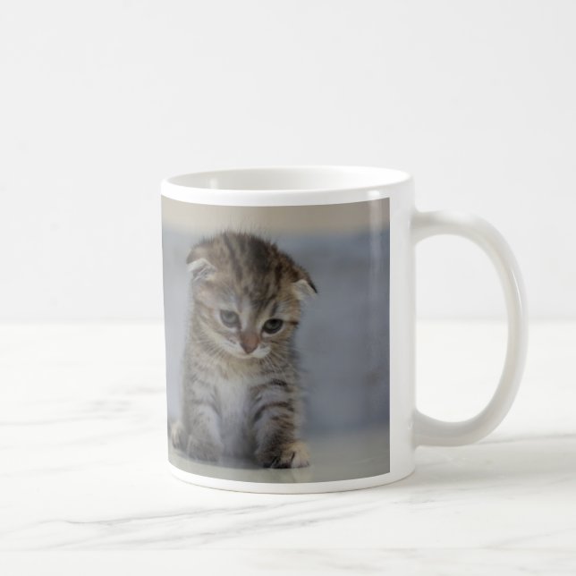 TAZA DE CAFÉ スコティッシュフォールド子猫　マグカップ (Derecha)