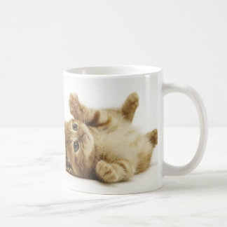 TAZA DE CAFÉ マルチカン子猫 マグカップ