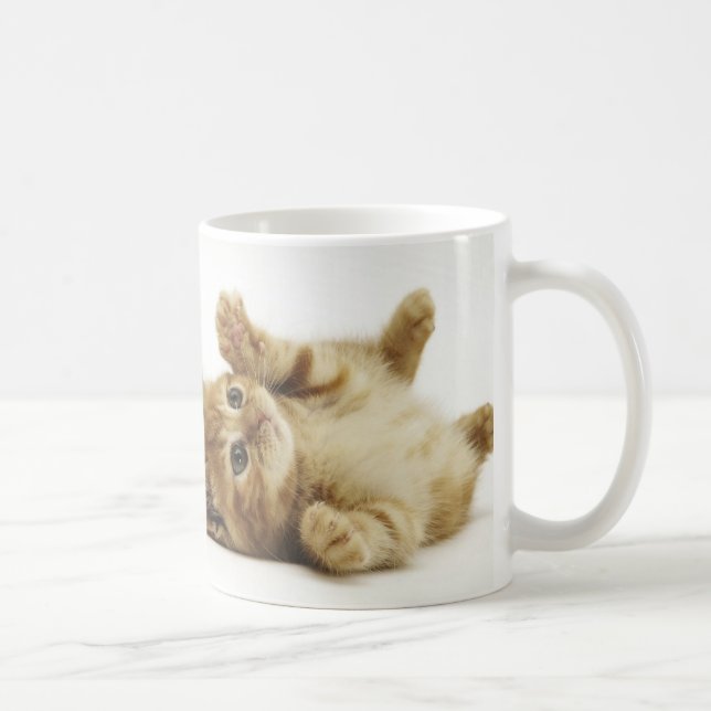 TAZA DE CAFÉ マルチカン子猫　マグカップ (Derecha)