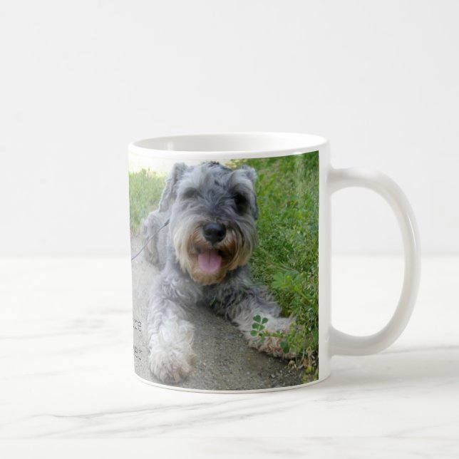 Taza De Café ミニチュアシュナウザー zwergschnauzer (miniature schnauzer) (Derecha)