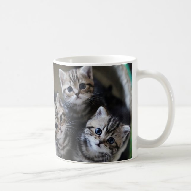 TAZA DE CAFÉ ３匹のアメリカンショートヘアの子猫たち　マグカップ (Derecha)