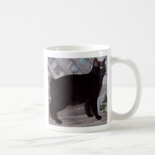 TAZA DE CAFÉ 100_0621