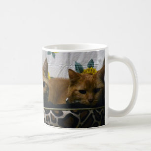Taza De Café 2Cats