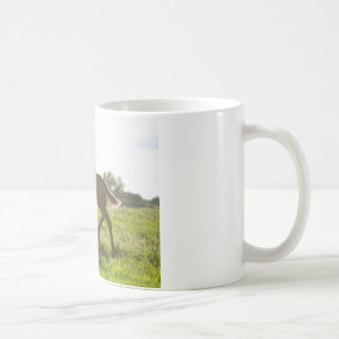 Taza De Café 37:4 frisio del salmo del potro