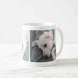 Taza De Café 3 fotos de un perro blanco lindo con bufanda verde