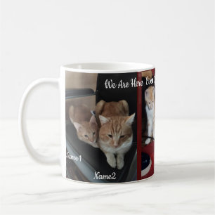 Taza De Café 6 Gatos Foto Y Nombre, Keepsake, Crearte Propio,