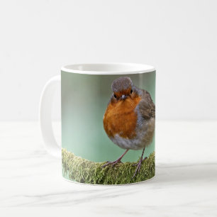 Taza De Café 7.º burra