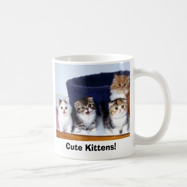 Taza De Café ¡831_wallpaper280, gatitos lindos! (Derecha)