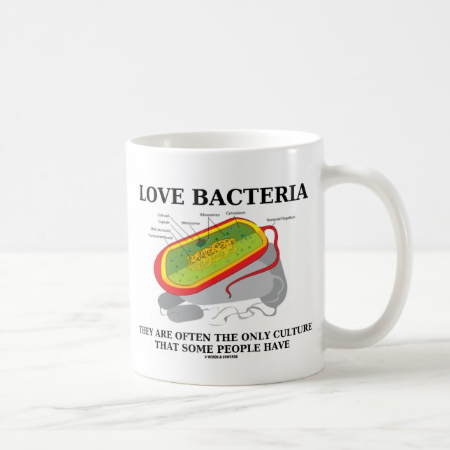 Taza De Café A Menudo, las bacterias solo tienen cultura alguna (Derecha)