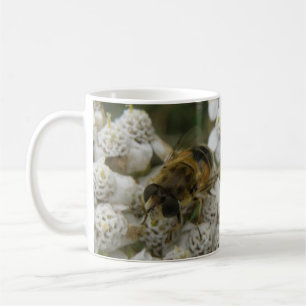 Taza De Café Abeja de miel y pulmones