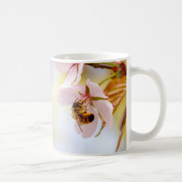 Taza De Café Abeja En Una Flor De Cerezo