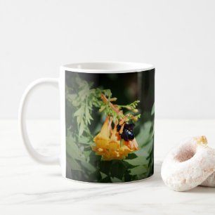 Taza De Café Abeja negra en flor de enredadera de trompeta nara