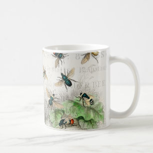 Taza De Café Abeja Reina Entomología Botánica Vintage