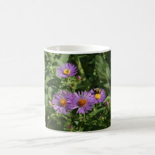Taza De Café Abejas Que Trabajan En Flores De Aster