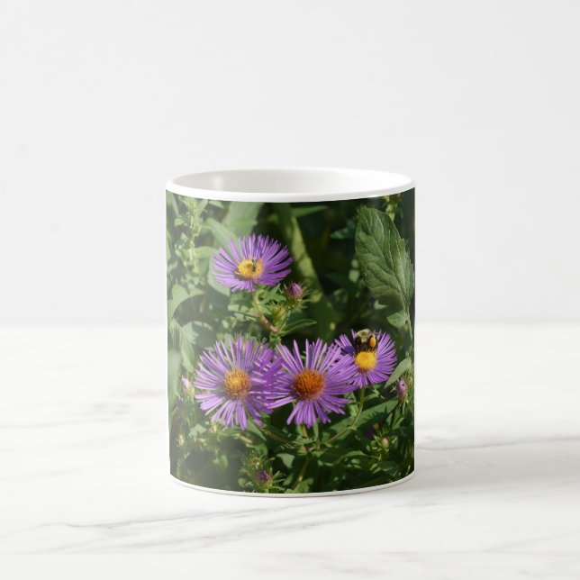 Taza De Café Abejas Que Trabajan En Flores De Aster (Centro)