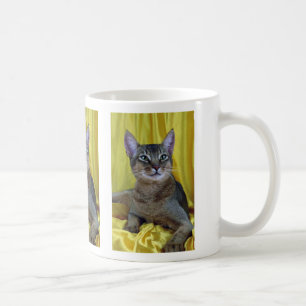 Taza De Café Abisinio, usual