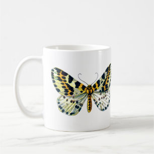 Taza De Café Abraxas grossulariata, la imagen de color de la po