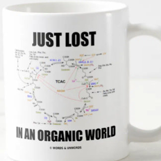 Taza De Café Acaba De Perderse En Un Mundo Orgánico El Humor Ci